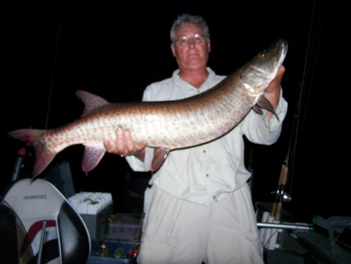 Muskie Bay Resort Nestor Falls Buitenkant foto